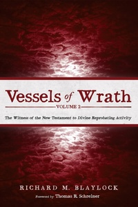 Cover of  Vessels of Wrath, Volume 2 - Wipf and Stock Publishers