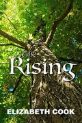 Cover: The Rising - Elizabeth Cook