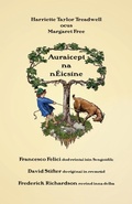 Cover: Auraicept na nEicsine - Evertype