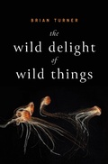 Cover: The Wild Delight of Wild Things - ALICE JAMES BOOKS