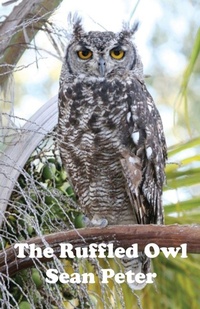 Abbildung von: The Ruffled Owl - PublishNation