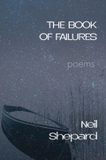 Cover: The Book of Failures - Madville Publishing LLC