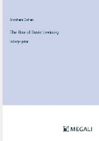 Enlarge image Cover: The Rise of David Levinsky - Megali Verlag