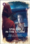 Cover: Stalker in the Storm - Harlequin Romantic Suspense