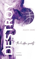 Cover: DESTROY the hidden secrets (DESTROY-Reihe 1) - Aileen Dawe