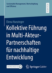 Abbildung von: Kollektive Führung in Multi-Akteur-Partnerschaften für nachhaltige Entwicklung - Springer Gabler