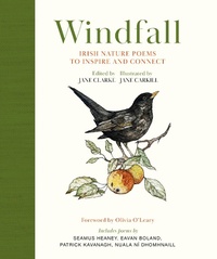 Enlarge image Cover: Windfall - Hachette Books Ireland