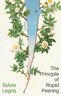 Enlarge image Cover: The Principle of Rapid Peering - Corsair