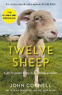 Abbildung von: Twelve Sheep - Atlantic Books