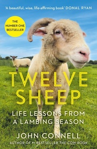 Enlarge image Cover: Twelve Sheep - Atlantic Books