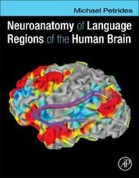 Abbildung von: Neuroanatomy of Language Regions of the Human Brain - Academic Press