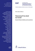Cover: Panorama IV en droit du travail - St&auml;mpfli Verlag AG