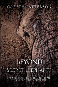 Enlarge image Cover: Beyond the Secret Elephants - Hangar 1 Publishing