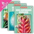 Cover: How Animals Evolved (Set) - Discoverroo