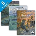 Cover: Fishing Chronicles (Set) - Chapter Books