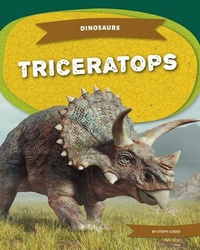 Enlarge image Cover: Triceratops - Kids Core