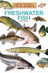 Enlarge image Cover: Freshwater Fish - Field Guides