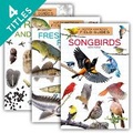 Cover: North American Field Guides Set 1 (Set) - Field Guides