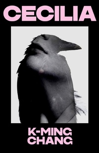 Enlarge image Cover: Cecilia - Harvill Secker