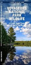 Cover: Voyageurs National Park Wildlife - Waterford Press Ltd