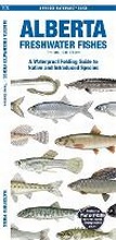 Cover: Alberta Freshwater Fishes, 3rd Ed - Waterford Press Ltd