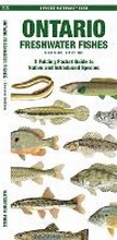 Cover: Ontario Freshwater Fishes, 2nd Ed - Waterford Press Ltd