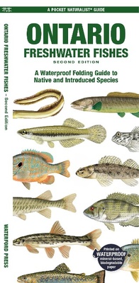 Abbildung von: Ontario Freshwater Fishes - Waterford Press Ltd