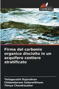 Cover: Firma del carbonio organico disciolto in un acquifero costiero stratificato - Edizioni Sapienza