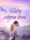 Cover: Sista v&auml;gen hem - Saga Egmont