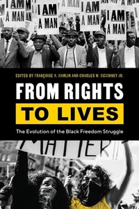 Enlarge image Cover: From Rights to Lives - Vanderbilt University Press