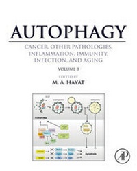 Abbildung von: Autophagy: Cancer, Other Pathologies, Inflammation, Immunity, Infection, and Aging - Academic Press