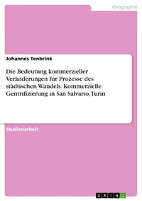 Abbildung von: Die Bedeutung kommerzieller Veränderungen für Prozesse des städtischen Wandels. Kommerzielle Gentrifizierung in San Salvario, Turin - GRIN Verlag
