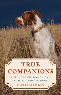 Abbildung von: True Companions - Globe Pequot