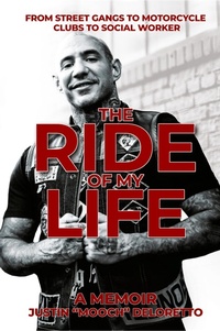 Abbildung von: The Ride of My Life - DartFrog Blue