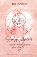 Cover: Seelengefl&uuml;ster - feine Verwebungen im g&ouml;ttlichen Netz - tredition
