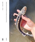 Cover: DELUS. The Journal of the Institute of Landscape and Urban Studies - Hatje Cantz Verlag