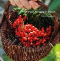 Cover: Wild Food Foraging in Devon - Alison Hodge