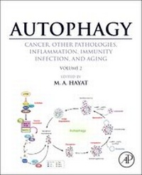 Abbildung von: Autophagy: Cancer, Other Pathologies, Inflammation, Immunity, Infection, and Aging - Academic Press