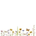 Cover: Wildflower Garden Desk Notes (250 Sheets) - Peter Pauper Press