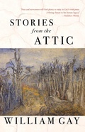 Cover: Stories from the Attic - Dzanc Books