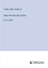 Enlarge image Cover: Down the Ravine; A story - Megali Verlag
