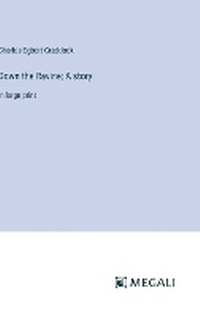 Enlarge image Cover: Down the Ravine; A story - Megali Verlag
