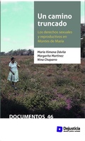 Cover: Un camino truncado - Dejusticia