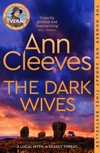 Abbildung von: The Dark Wives - Pan Books