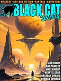 Cover: Black Cat Weekly #106 - Wildside Press
