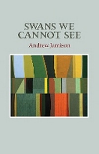 Enlarge image Cover: Swans We Cannot See - Gallery Books