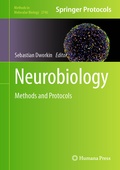 Bild: Neurobiology - Humana
