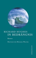 Cover: In Bedr&auml;ngnis - D&ouml;rlemann