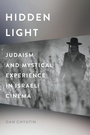 Cover: Hidden Light - Wayne State University Press