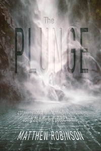 Enlarge image Cover: Plunge - Austin Macauley Publishers Ltd